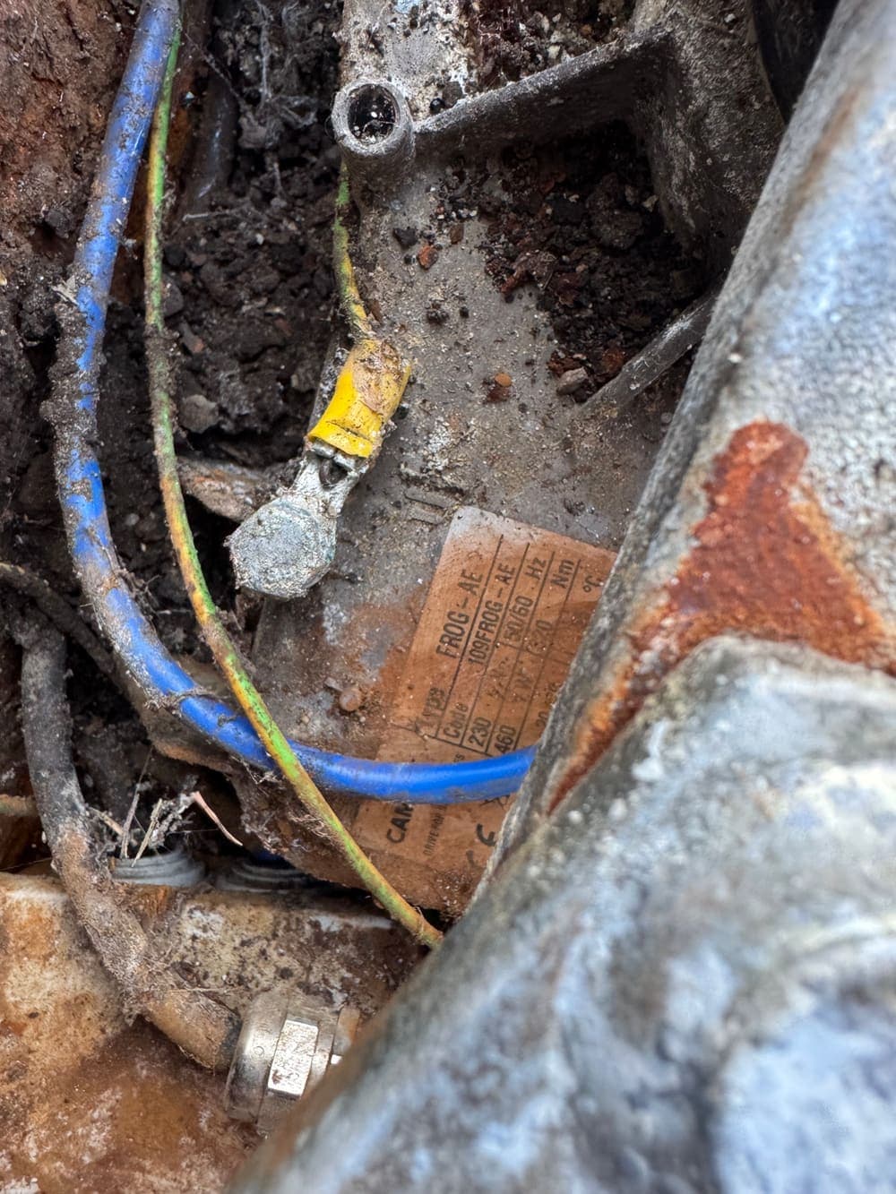 Étiquette constructeur du moteur enterré CAME FROG-AE, code 109FROG-AE, 230 V, relevée à Ézy-sur-Eure
